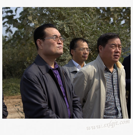 js1996(中国)有限公司官网